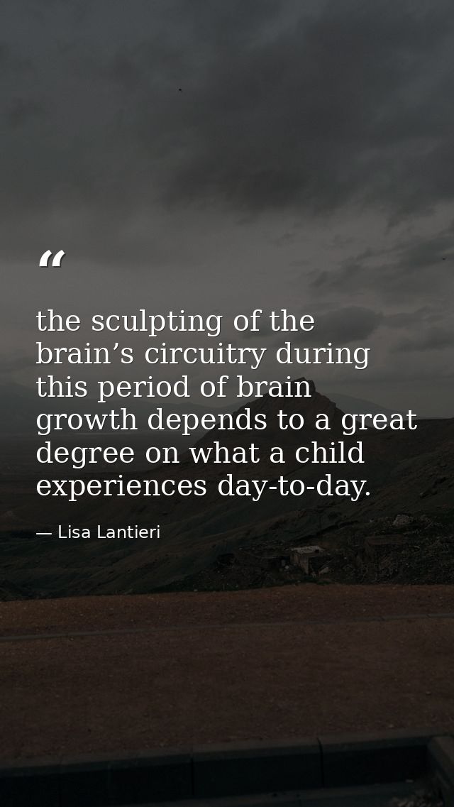 the sculpting of the brain’s circuitry during this period of brain growth depends to a great degree on what a child expe — Lisa Lantieri