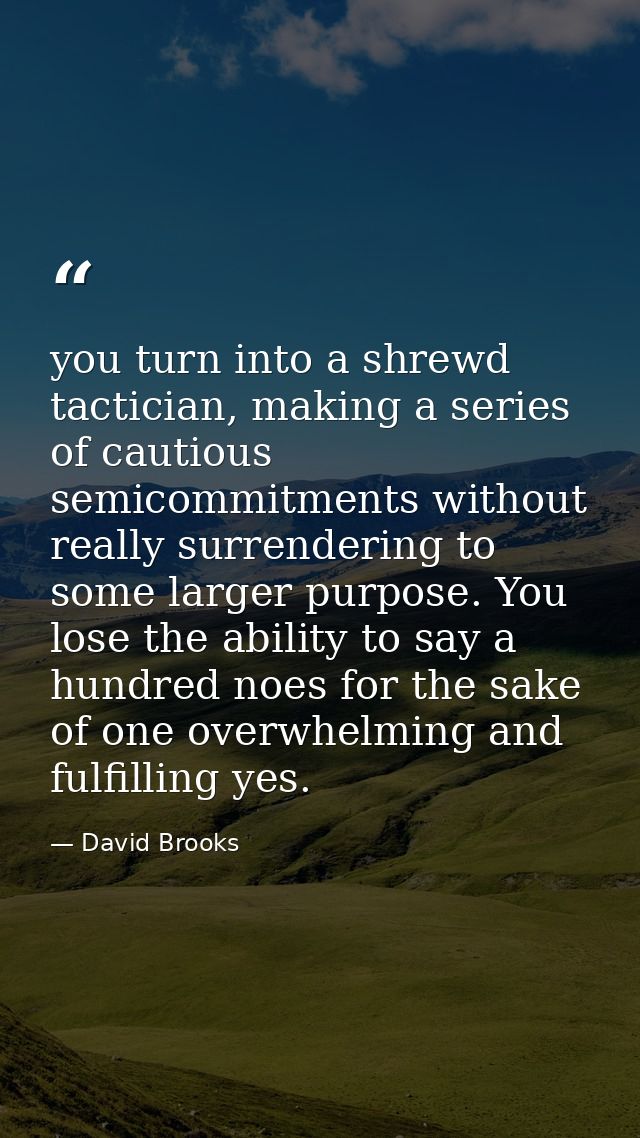you turn into a shrewd tactician, making a series of cautious semicommitments without really surrendering to some larger — David Brooks