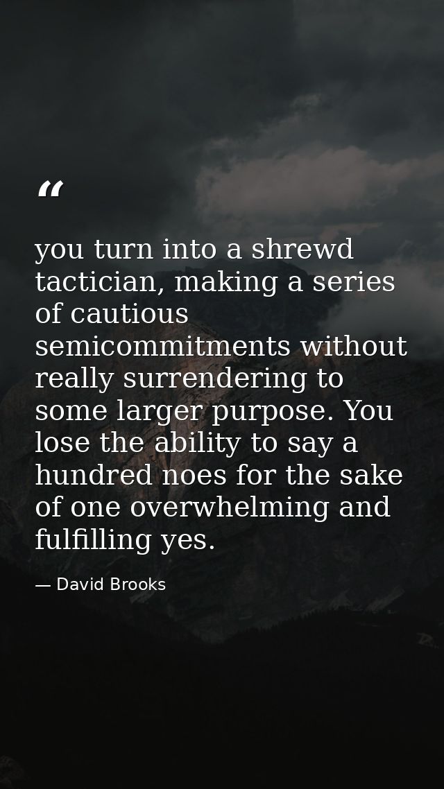 you turn into a shrewd tactician, making a series of cautious semicommitments without really surrendering to some larger — David Brooks