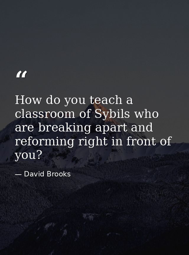 How do you teach a classroom of Sybils who are breaking apart and reforming right in front of you? — David Brooks