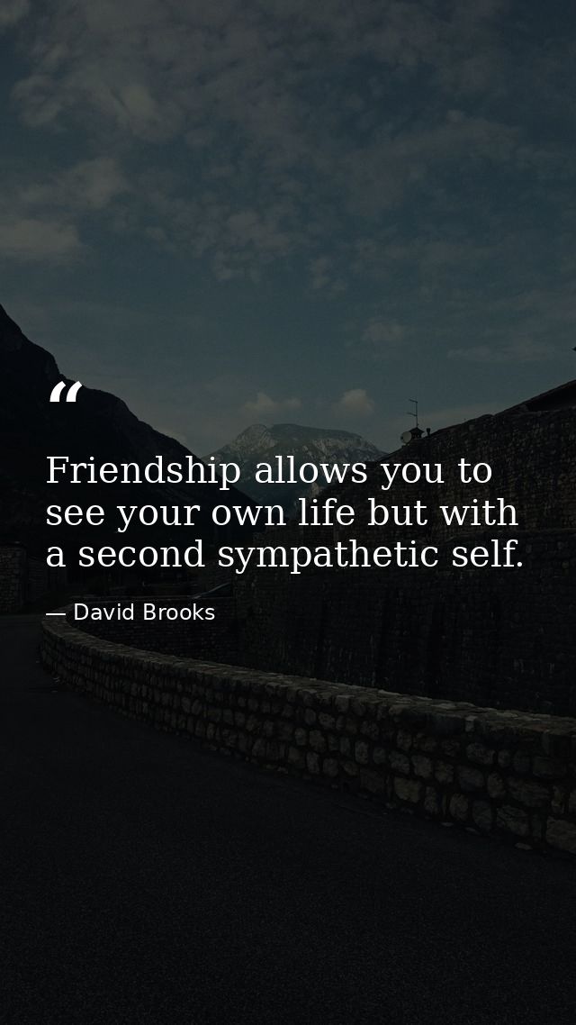 Friendship allows you to see your own life but with a second sympathetic self. — David Brooks
