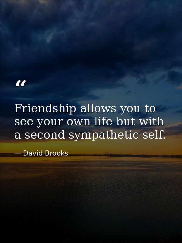 Friendship allows you to see your own life but with a second sympathetic self. — David Brooks