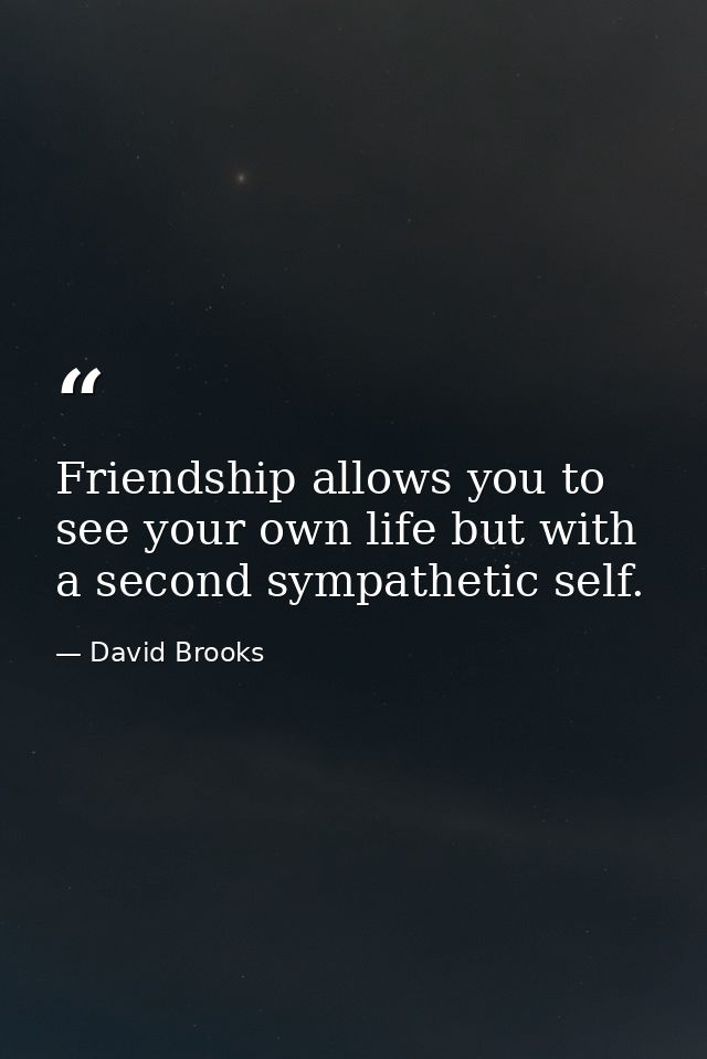 Friendship allows you to see your own life but with a second sympathetic self. — David Brooks