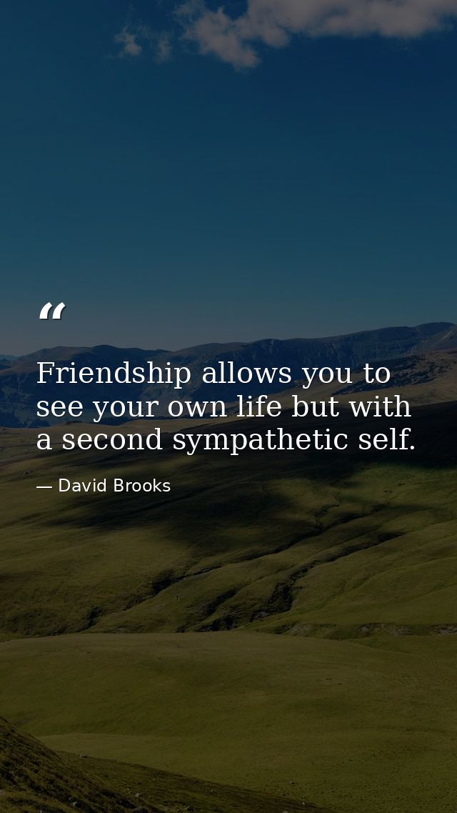 Friendship allows you to see your own life but with a second sympathetic self. — David Brooks