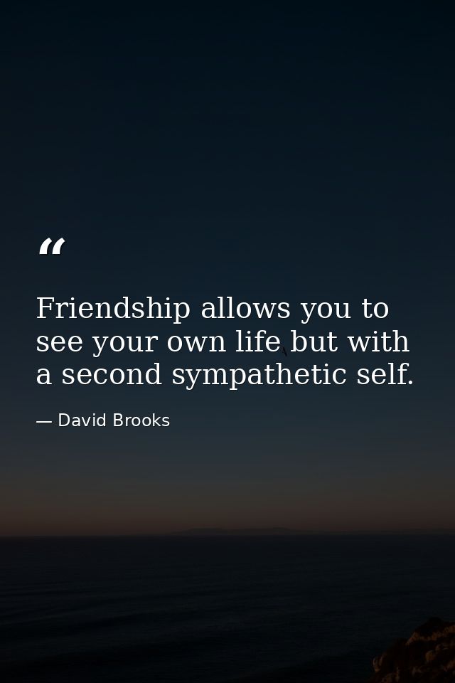 Friendship allows you to see your own life but with a second sympathetic self. — David Brooks