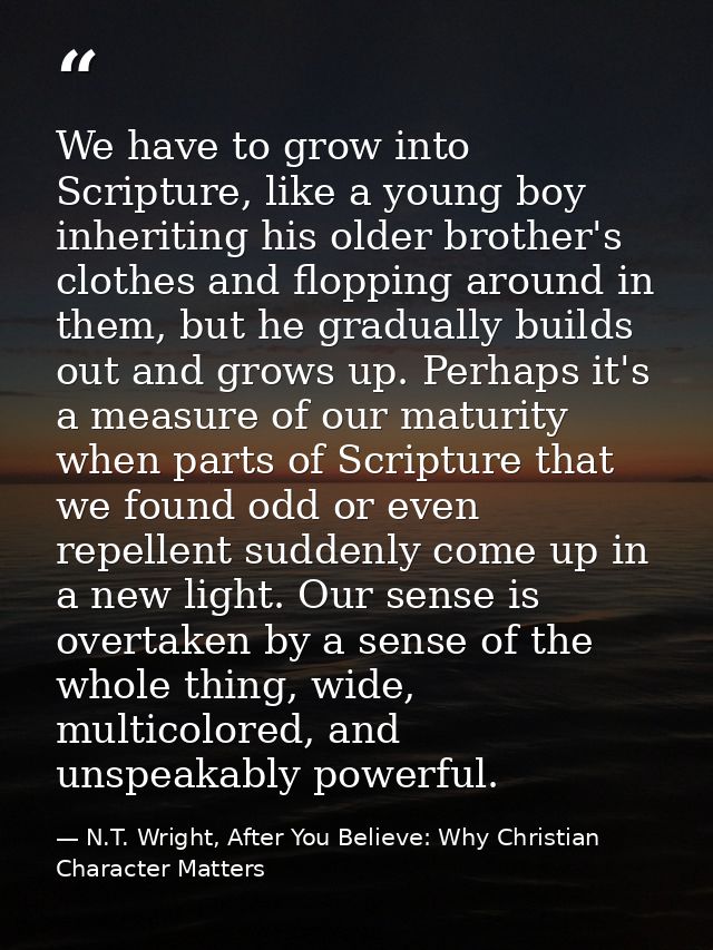We have to grow into Scripture, like a young boy inheriting his older brother's clothes and flopping around in them, but — N.T. Wright, After You Believe: Why Christian Character Matters