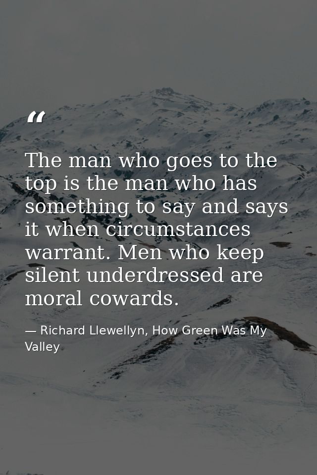 The man who goes to the top is the man who has something to say and says it when circumstances warrant. Men who keep sil — Richard Llewellyn, How Green Was My Valley