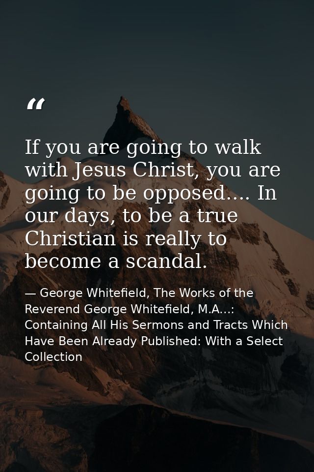If you are going to walk with Jesus Christ, you are going to be opposed.... In our days, to be a true Christian is reall — George Whitefield, The Works of the Reverend George Whitefield, M.A...: Containing All His Sermons and Tracts Which Have Been Already Published: With a Select Collection