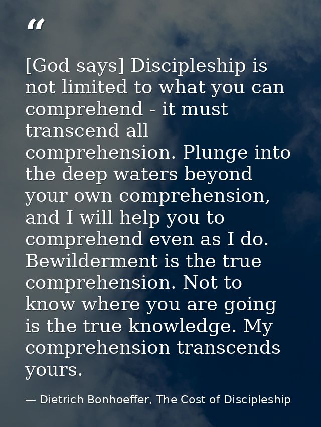 [God says] Discipleship is not limited to what you can comprehend - it must transcend all comprehension. Plunge into the — Dietrich Bonhoeffer, The Cost of Discipleship