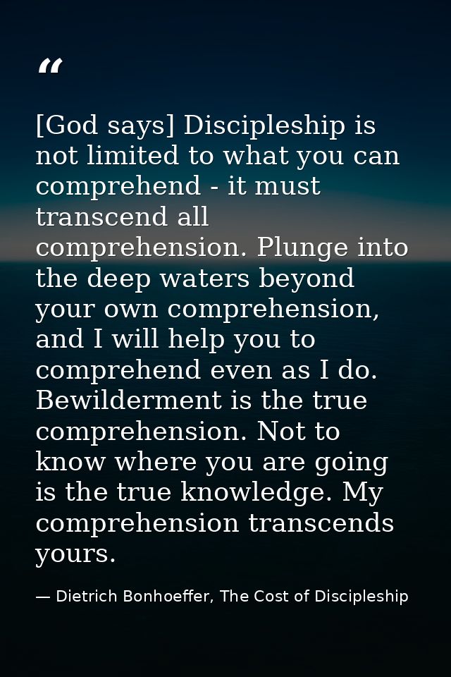 [God says] Discipleship is not limited to what you can comprehend - it must transcend all comprehension. Plunge into the — Dietrich Bonhoeffer, The Cost of Discipleship