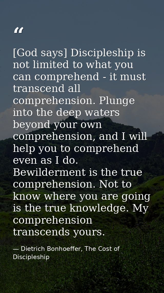 [God says] Discipleship is not limited to what you can comprehend - it must transcend all comprehension. Plunge into the — Dietrich Bonhoeffer, The Cost of Discipleship