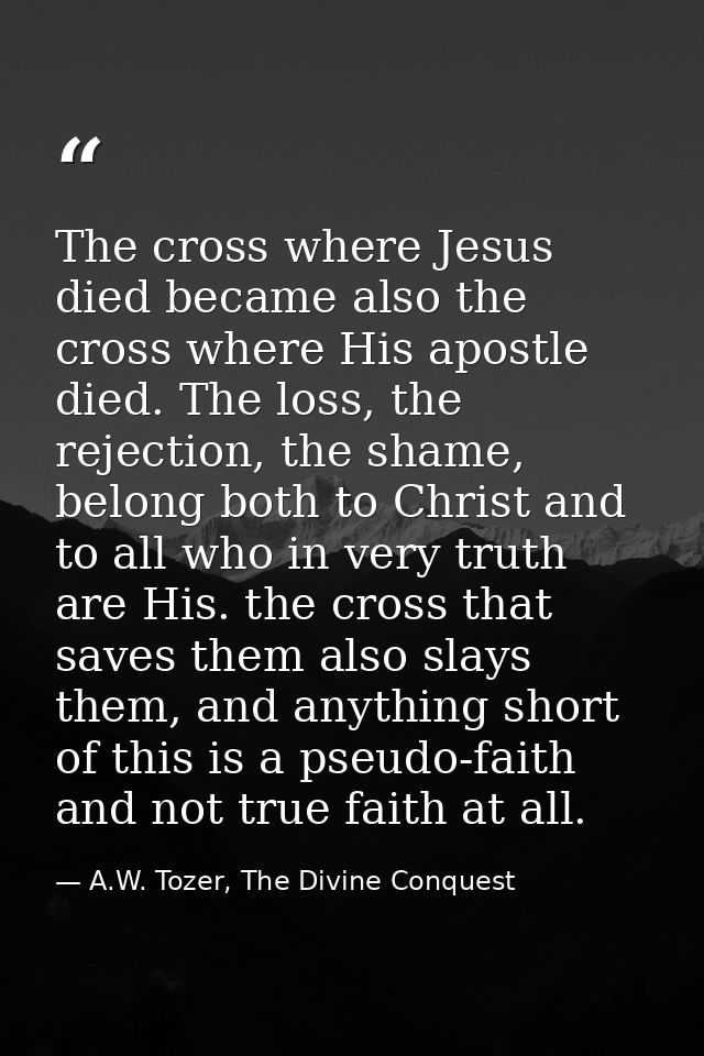 The cross where Jesus died became also the cross where His apostle died. The loss, the rejection, the shame, belong both — A.W. Tozer, The Divine Conquest