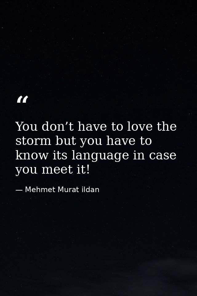 You don’t have to love the storm but you have to know its language in case you meet it! — Mehmet Murat ildan