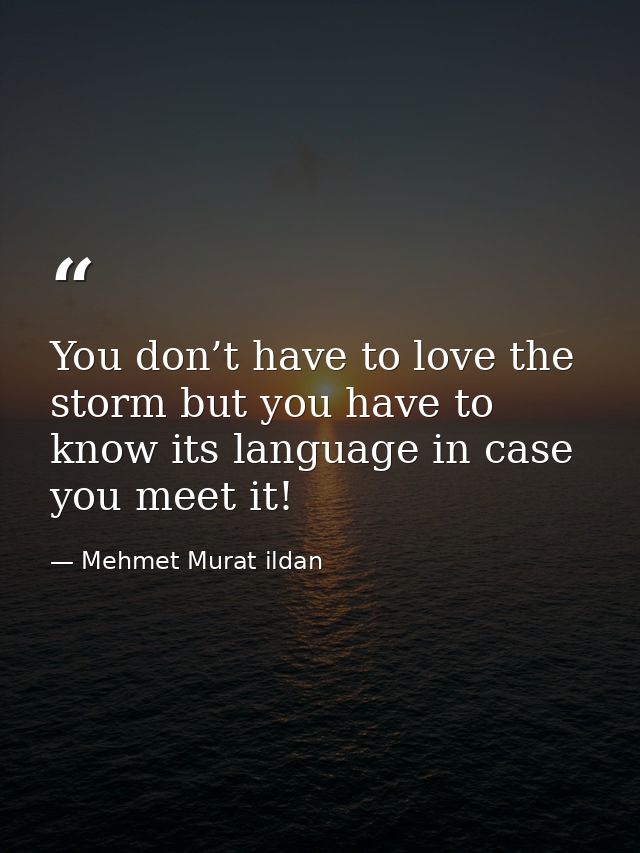 You don’t have to love the storm but you have to know its language in case you meet it! — Mehmet Murat ildan