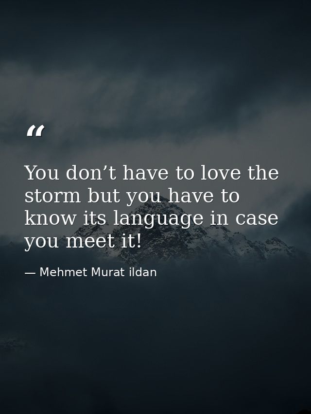 You don’t have to love the storm but you have to know its language in case you meet it! — Mehmet Murat ildan