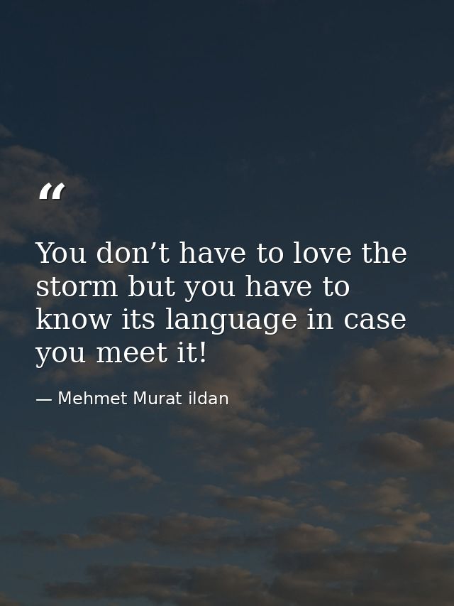 You don’t have to love the storm but you have to know its language in case you meet it! — Mehmet Murat ildan