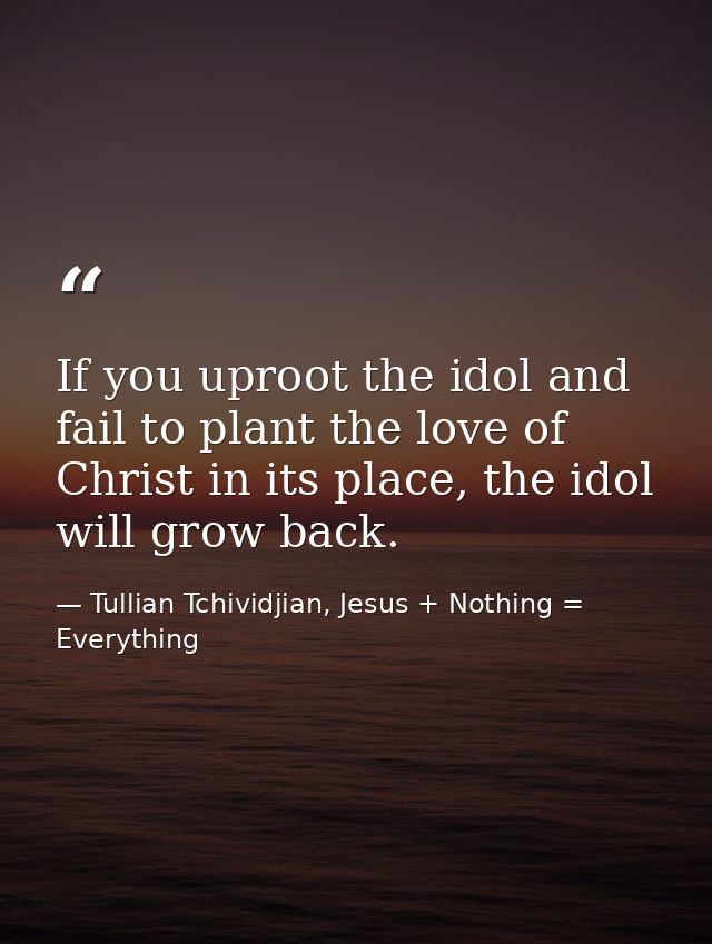 If you uproot the idol and fail to plant the love of Christ in its place, the idol will grow back. — Tullian Tchividjian, Jesus + Nothing = Everything