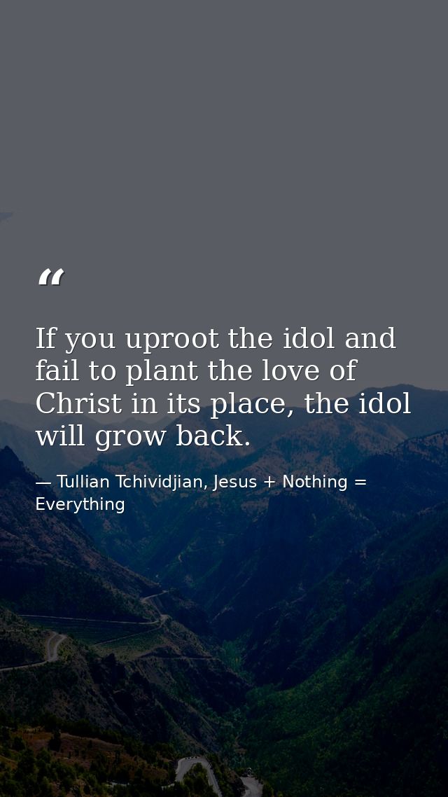 If you uproot the idol and fail to plant the love of Christ in its place, the idol will grow back. — Tullian Tchividjian, Jesus + Nothing = Everything