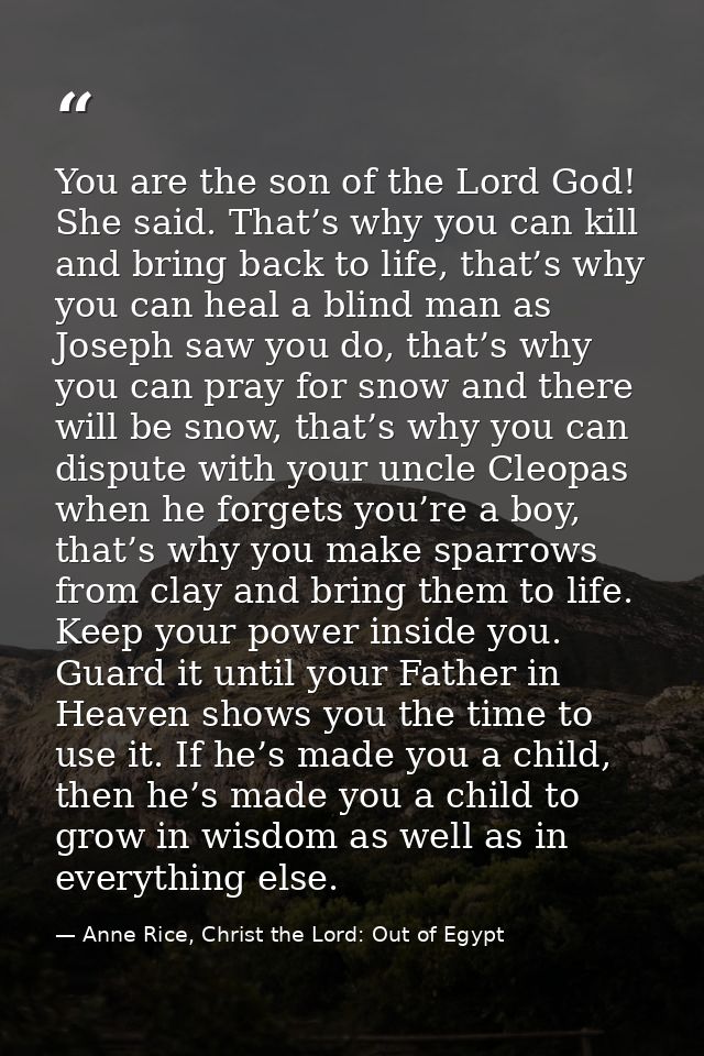 You are the son of the Lord God! She said. That’s why you can kill and bring back to life, that’s why you can heal a bli — Anne Rice, Christ the Lord: Out of Egypt