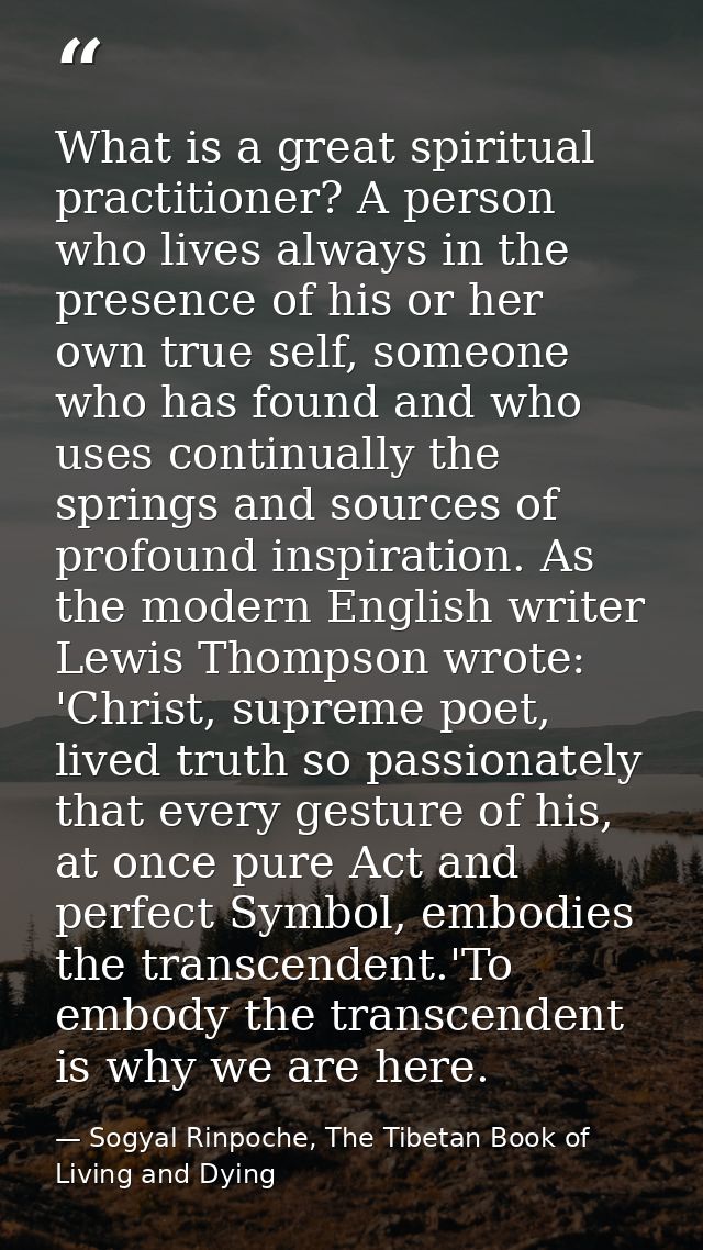 What is a great spiritual practitioner? A person who lives always in the presence of his or her own true self, someone w — Sogyal Rinpoche, The Tibetan Book of Living and Dying