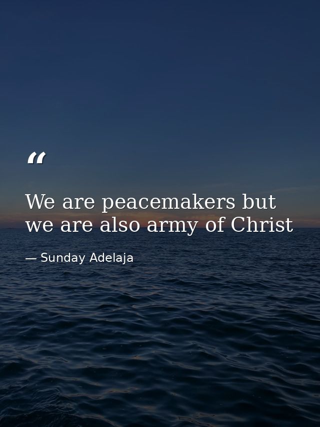 We are peacemakers but we are also army of Christ — Sunday Adelaja