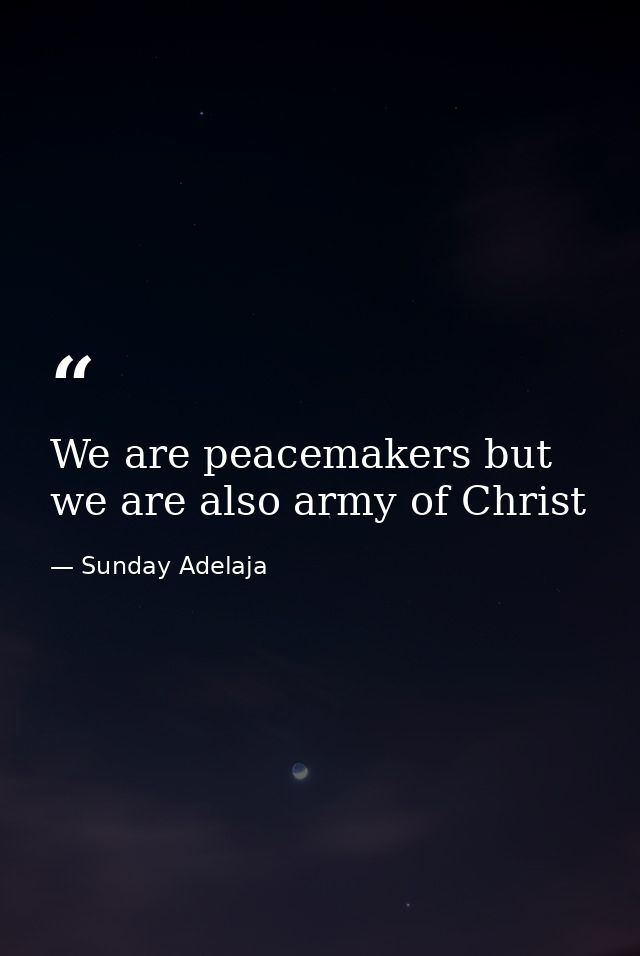 We are peacemakers but we are also army of Christ — Sunday Adelaja