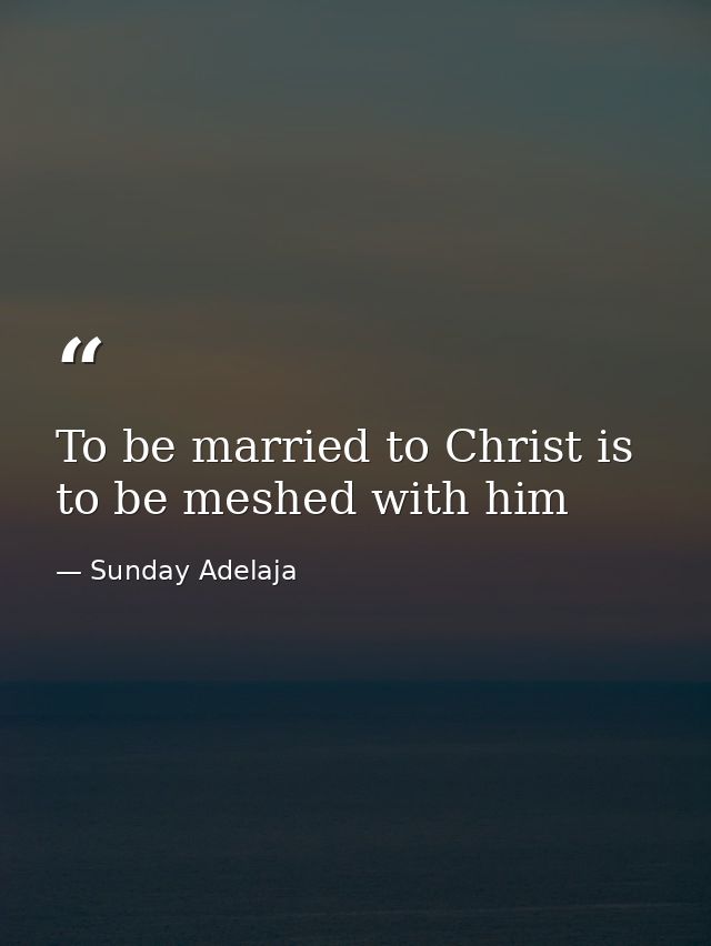 To be married to Christ is to be meshed with him — Sunday Adelaja