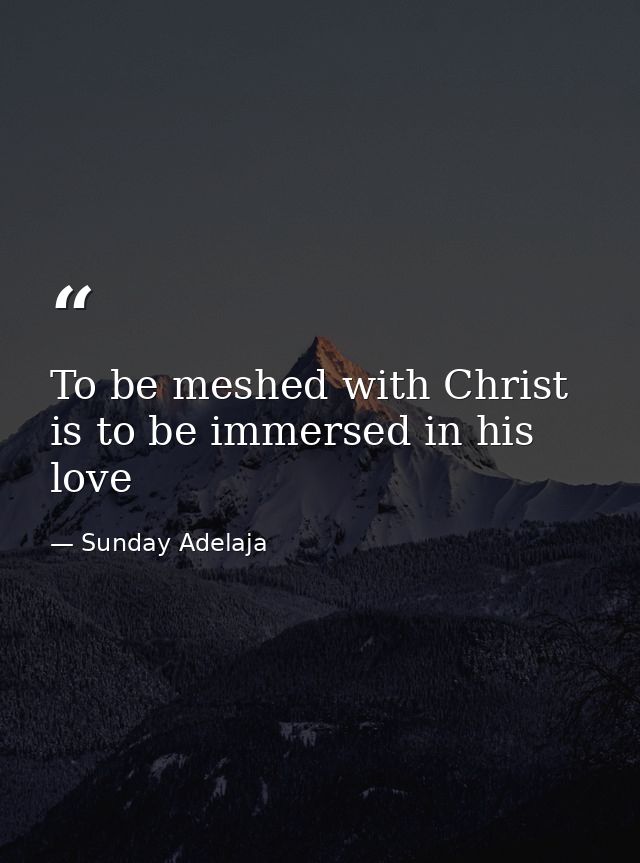 To be meshed with Christ is to be immersed in his love — Sunday Adelaja