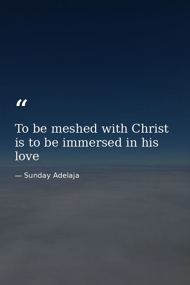 To be meshed with Christ is to be immersed in his love — Sunday Adelaja