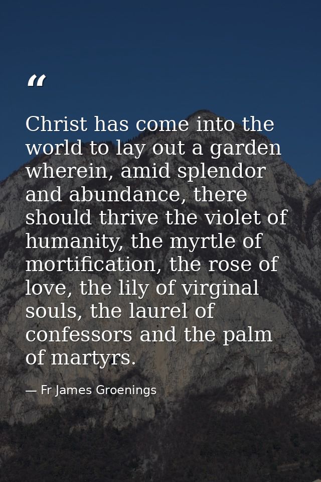 Christ has come into the world to lay out a garden wherein, amid splendor and abundance, there should thrive the violet  — Fr James Groenings