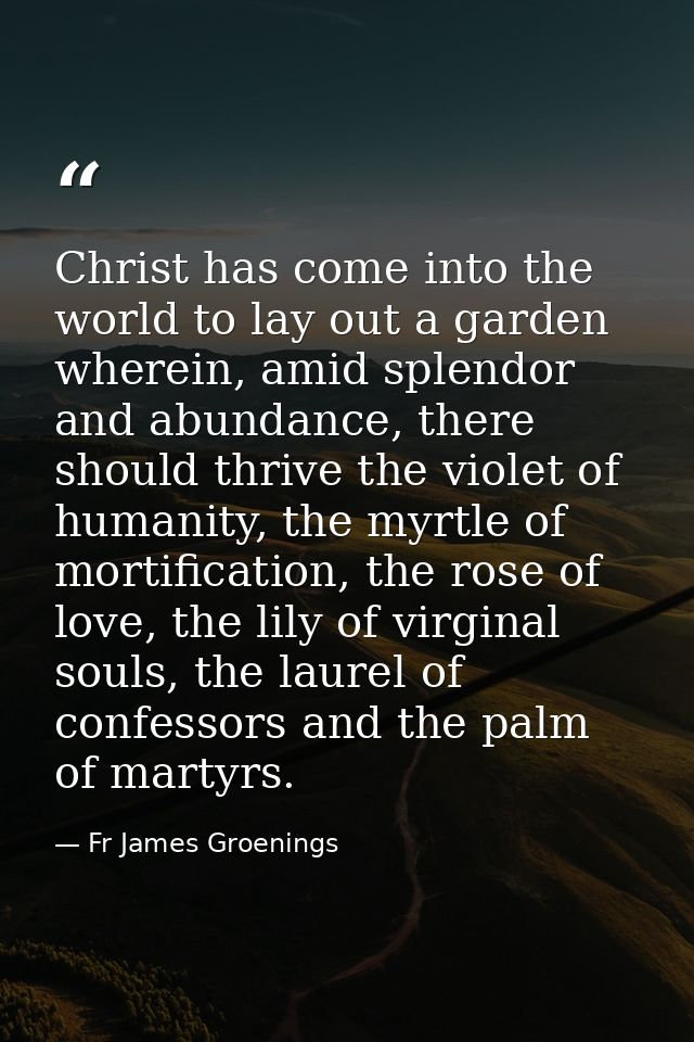 Christ has come into the world to lay out a garden wherein, amid splendor and abundance, there should thrive the violet  — Fr James Groenings