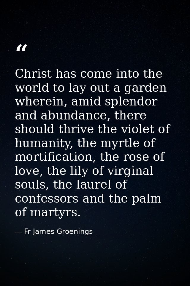 Christ has come into the world to lay out a garden wherein, amid splendor and abundance, there should thrive the violet  — Fr James Groenings