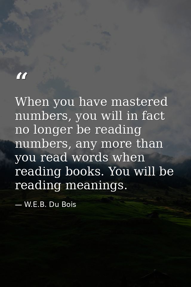 When you have mastered numbers, you will in fact no longer be reading numbers, any more than you read words when reading — W.E.B. Du Bois