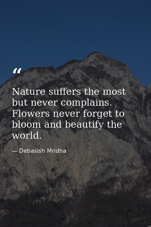 Nature suffers the most but never complains. Flowers never forget to bloom and beautify the world. — Debasish Mridha