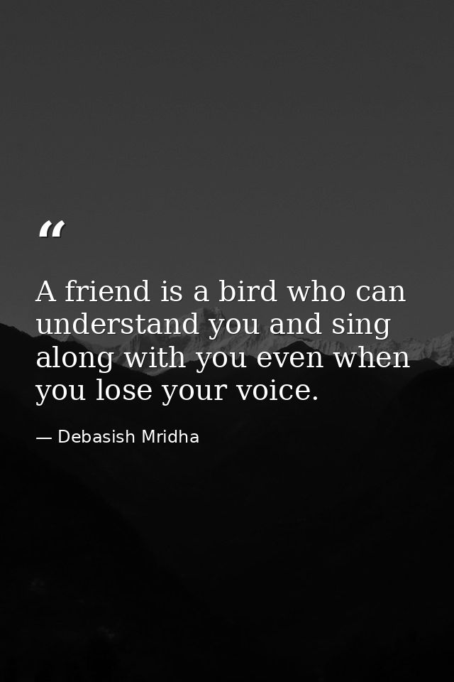 A friend is a bird who can understand you and sing along with you even when you lose your voice. — Debasish Mridha