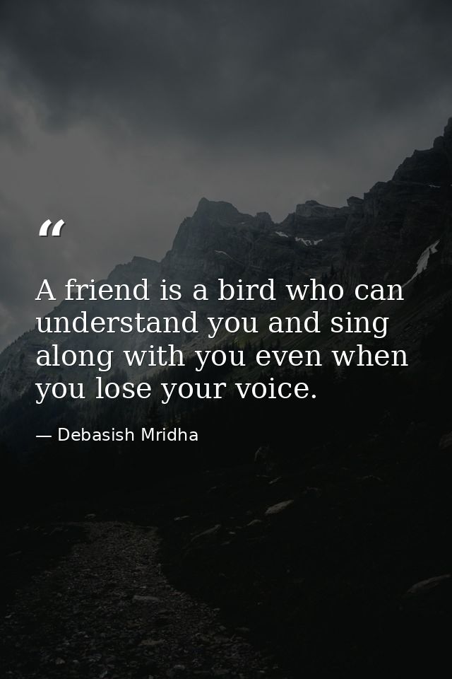 A friend is a bird who can understand you and sing along with you even when you lose your voice. — Debasish Mridha