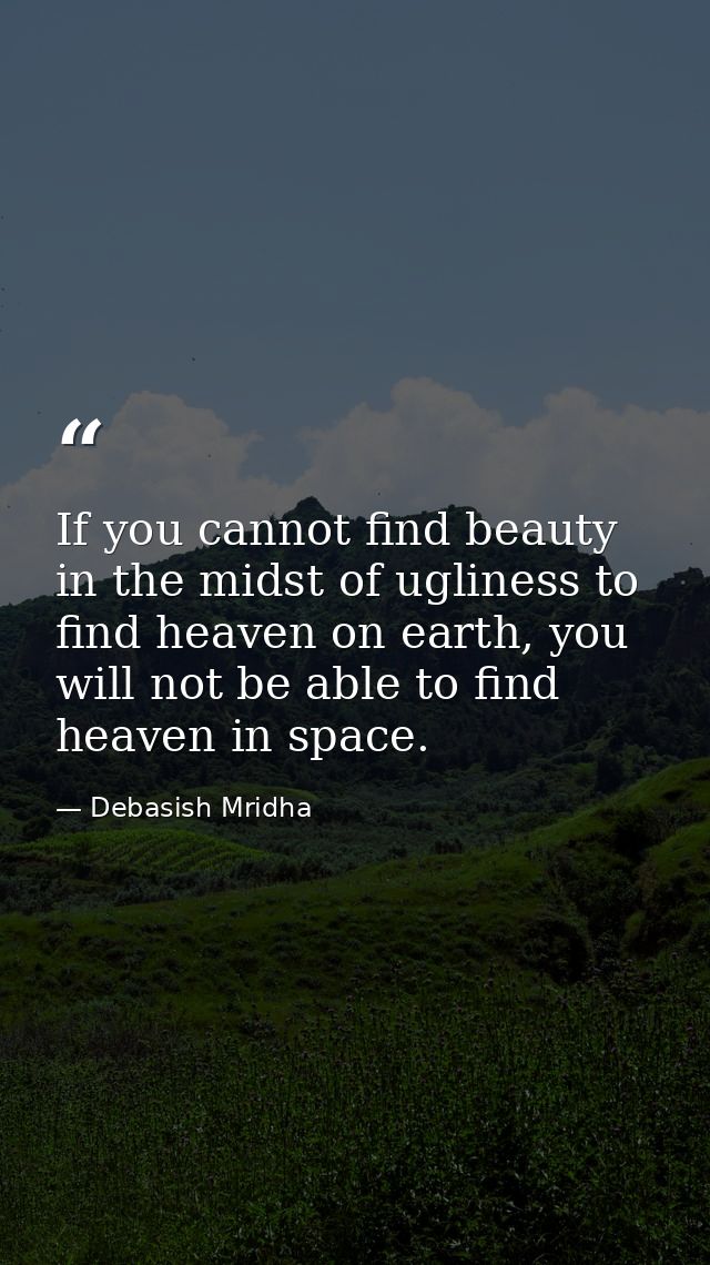 If you cannot find beauty in the midst of ugliness to find heaven on earth, you will not be able to find heaven in space — Debasish Mridha