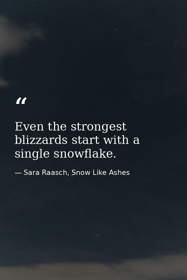 Even the strongest blizzards start with a single snowflake. — Sara Raasch, Snow Like Ashes