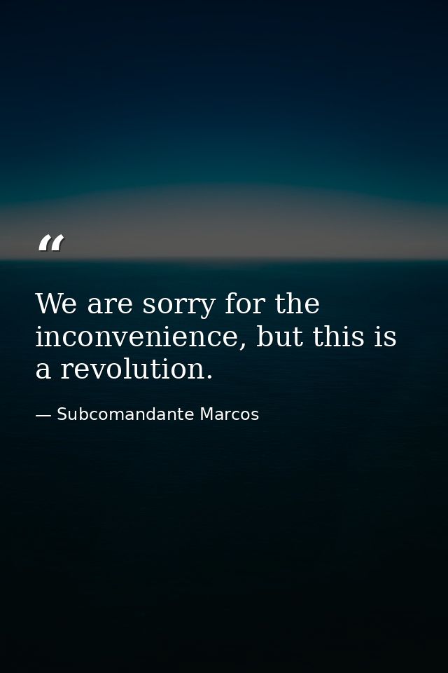 We are sorry for the inconvenience, but this is a revolution. — Subcomandante Marcos
