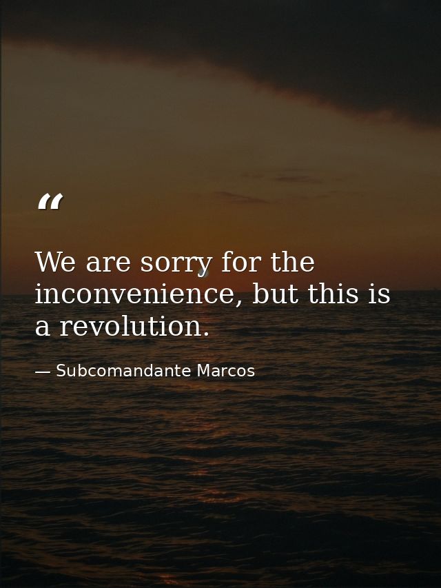 We are sorry for the inconvenience, but this is a revolution. — Subcomandante Marcos