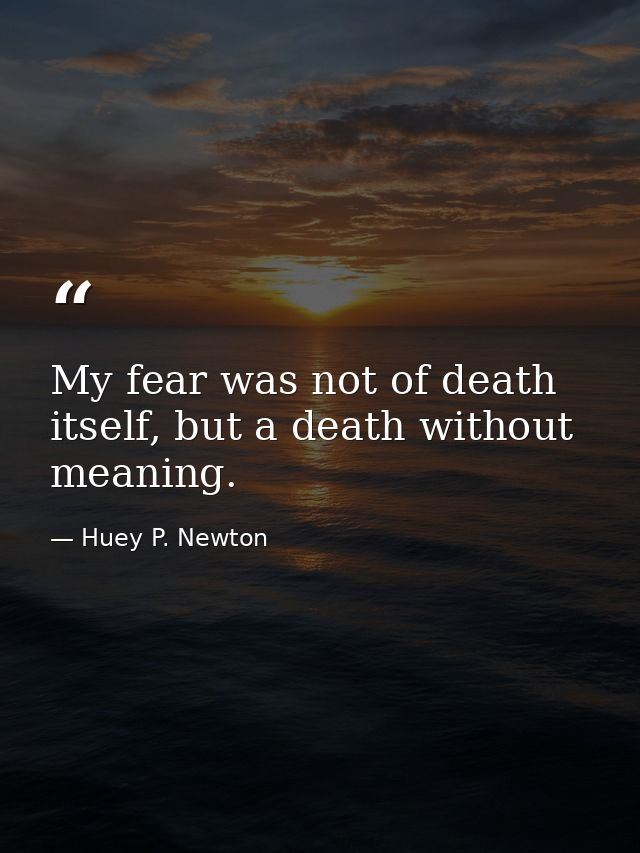 My fear was not of death itself, but a death without meaning. — Huey P. Newton