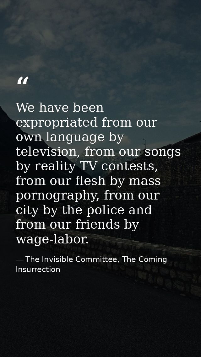 We have been expropriated from our own language by television, from our songs by reality TV contests, from our flesh by  — The Invisible Committee, The Coming Insurrection
