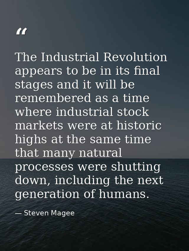 The Industrial Revolution appears to be in its final stages and it will be remembered as a time where industrial stock m — Steven Magee