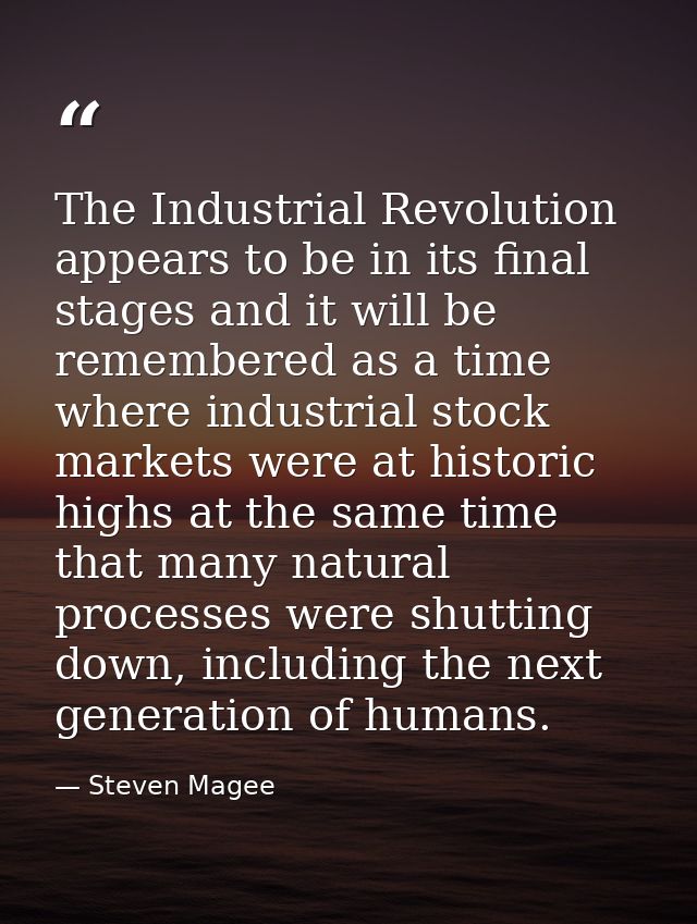 The Industrial Revolution appears to be in its final stages and it will be remembered as a time where industrial stock m — Steven Magee