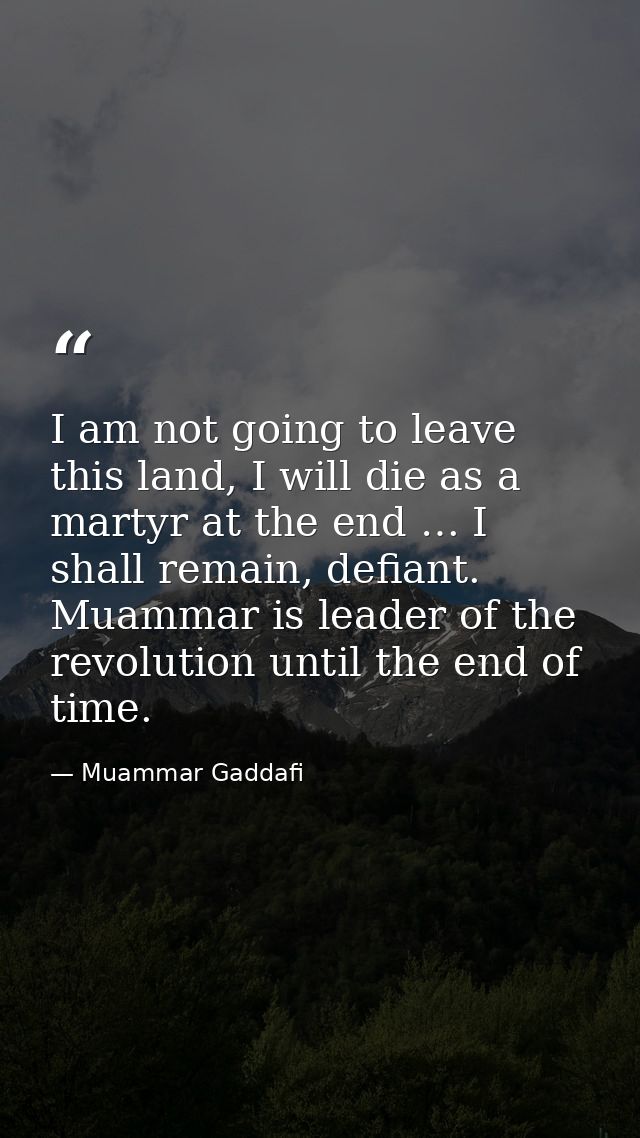 I am not going to leave this land, I will die as a martyr at the end … I shall remain, defiant. Muammar is leader of the — Muammar Gaddafi