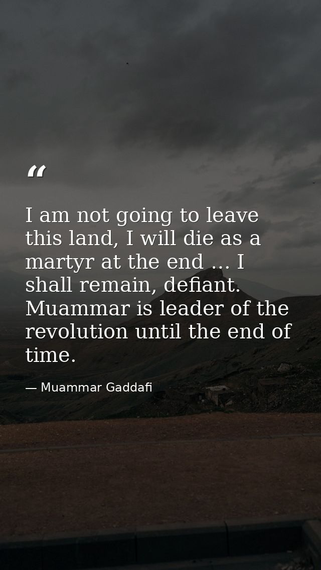 I am not going to leave this land, I will die as a martyr at the end … I shall remain, defiant. Muammar is leader of the — Muammar Gaddafi