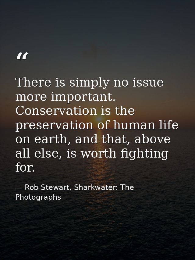 There is simply no issue more important. Conservation is the preservation of human life on earth, and that, above all el — Rob Stewart, Sharkwater: The Photographs