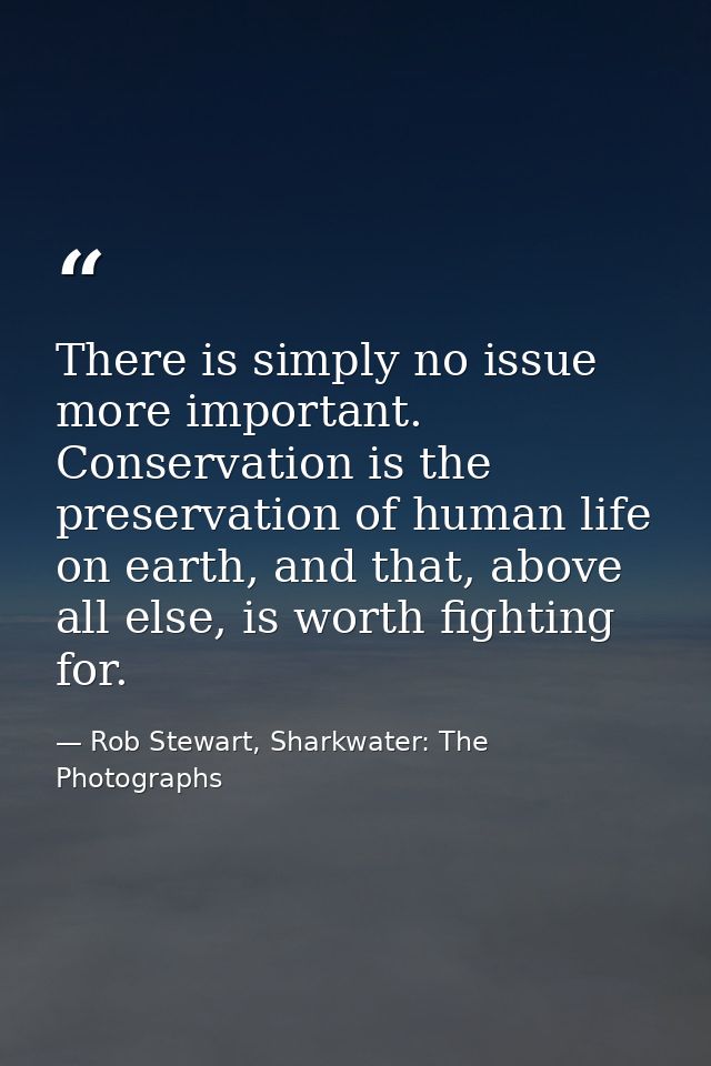 There is simply no issue more important. Conservation is the preservation of human life on earth, and that, above all el — Rob Stewart, Sharkwater: The Photographs