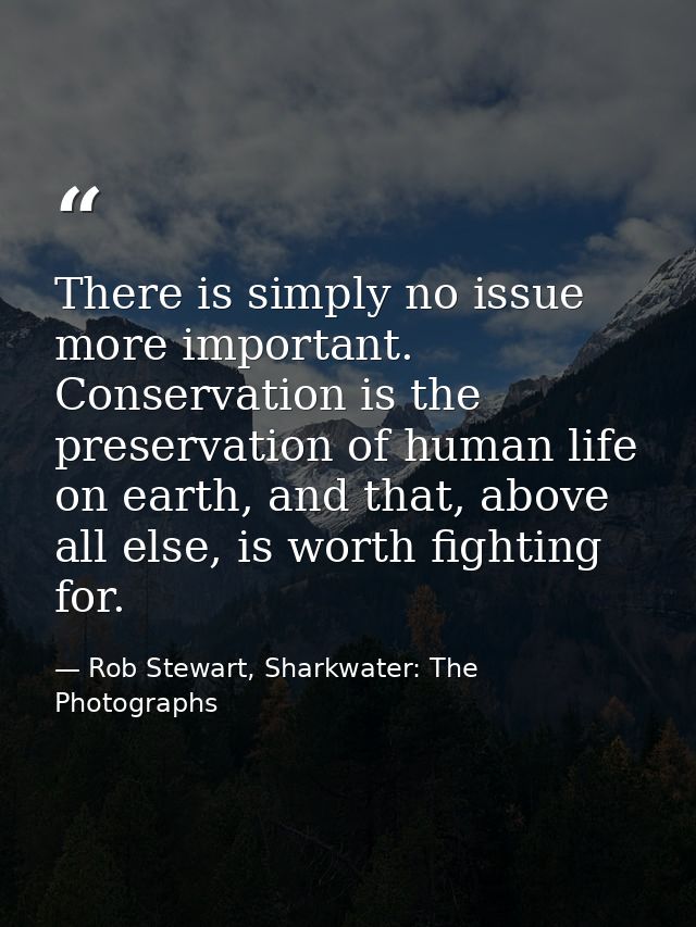 There is simply no issue more important. Conservation is the preservation of human life on earth, and that, above all el — Rob Stewart, Sharkwater: The Photographs