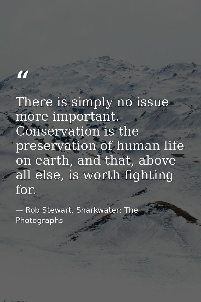 There is simply no issue more important. Conservation is the preservation of human life on earth, and that, above all el — Rob Stewart, Sharkwater: The Photographs